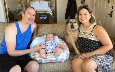 VOTE to Help Win $25K for Maui’s Shelter Animals