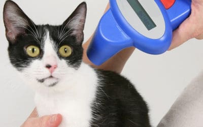 December 26-31: 50% off Microchips at MHS