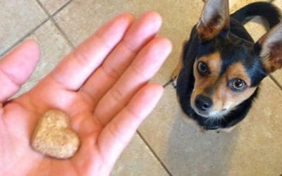 A Limited Time Offer for Faithful Friends…