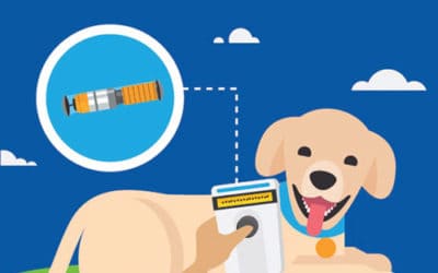 Pet Microchipping FAQs