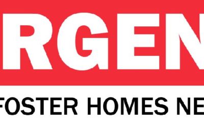 S.O.S. – Dog foster homes needed!