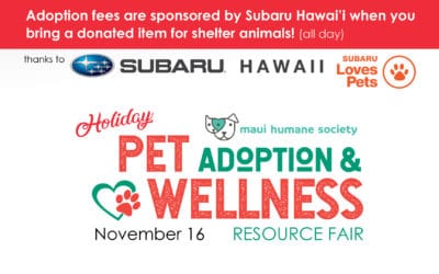 Holiday Pet Adoption & Wellness Fair