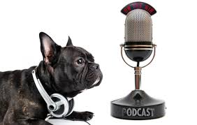 MHS on the Cindy Paulos Show