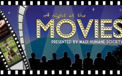 A Night at the Movies