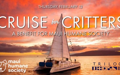 Cruise for Critters: A Benefit for Maui Humane Society