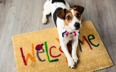 Pets and Housing: Resources for Owners and Landlords