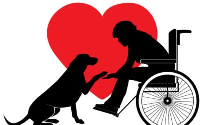 About Service Animals