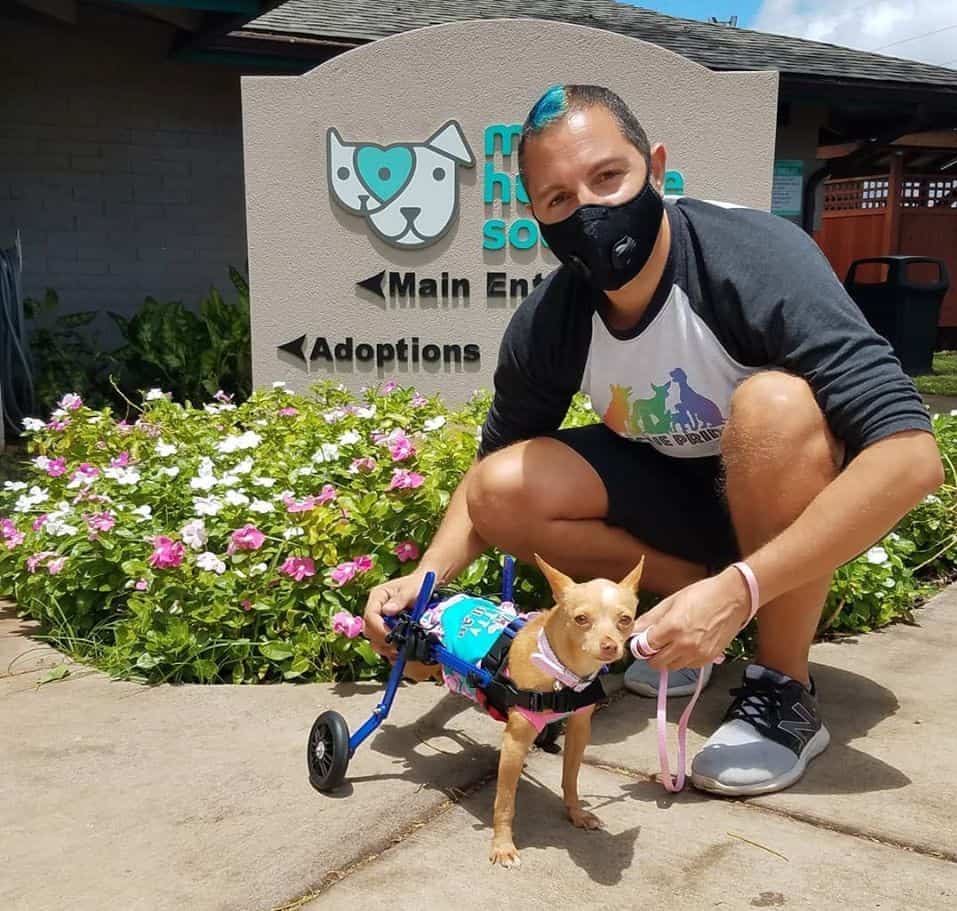 Strawberry Shortcake