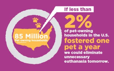 MHS Partners with the Petco Foundation to Celebrate National Foster a Pet Month in June