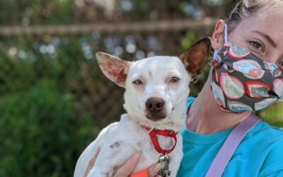 Changes due to COVID-19