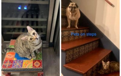 Success Story Success Story: Addy