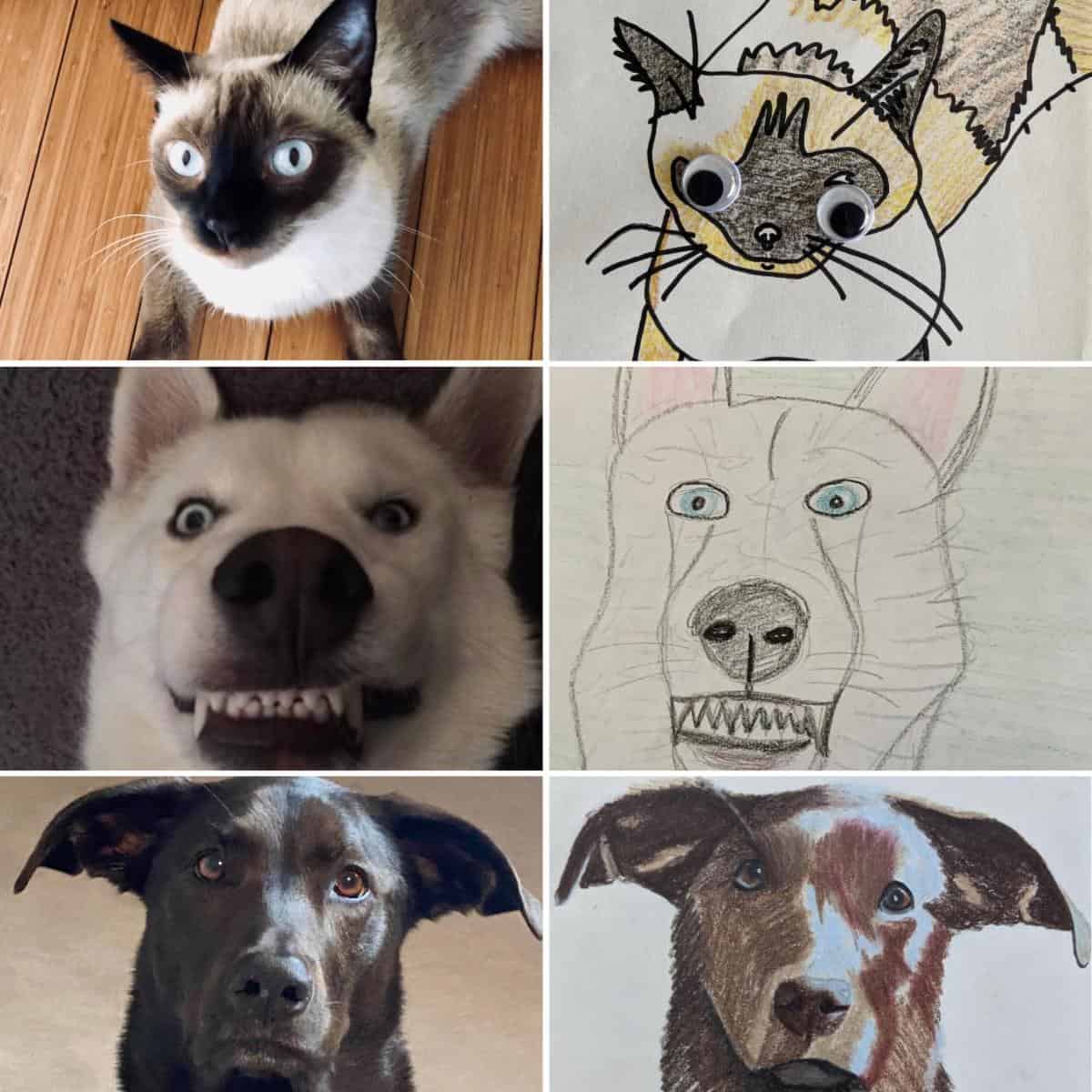 Bad Pet Art