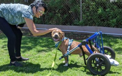 The Hope Fund: Chandler!