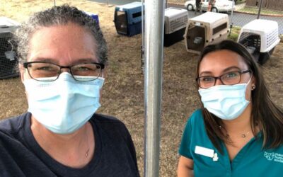 Maui Humane Society Supports Temporary Covid-19 Relief Shelters