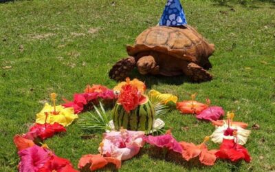 MHS Goes Green: Sustainable Food Production For Freddie & Friends