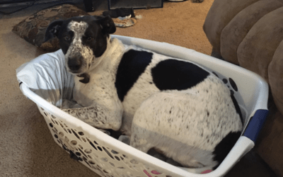 Success Story: Destin aka Johnny Cash