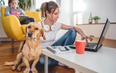 $20 Dog Adoptions through June 30th