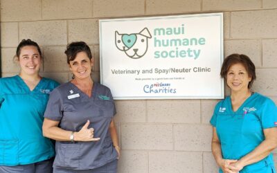 Spay/Neuter Clinic Reopens to Full Capacity