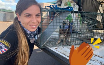Humane Enforcement Officer Shapiro Rescues a Kitten