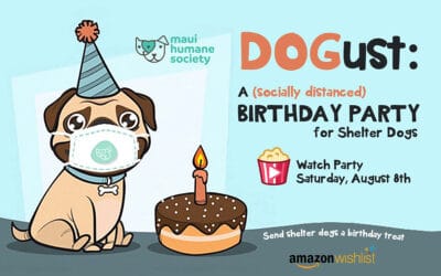 DOGust: A (socially distanced) Birthday Party for Dogs