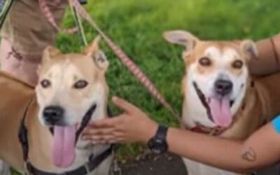 Success Story: Frank and Erin Wilson aka Piccard and Janeway