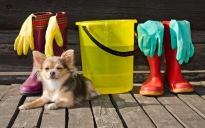 Using Cleaning Supplies Safely Around Pets