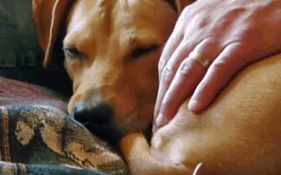 Success Story: Debbie/Dellafina