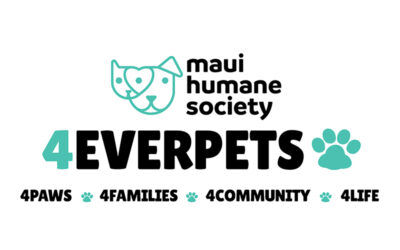 Maui Humane Society Launches 4EverPets Community Assistance Program