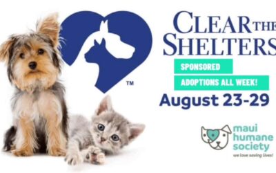 Clear the Shelters: All Adoption Fees SPONSORED Aug. 23-29