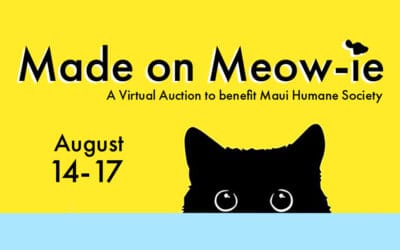 Made on Meowie: A Virtual Fundraiser Auction