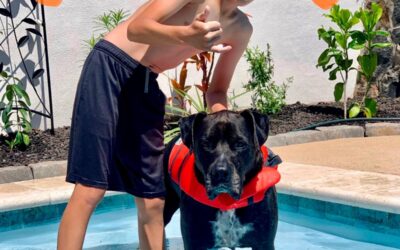 Success Story: Opihi