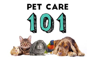 Pet Care 101