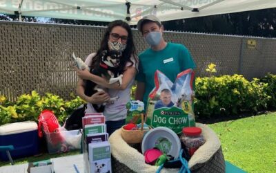 KITV: Maui Program Helps Pet Owners Affected by the Pandemic