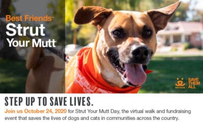 October 24th: Strut Your Mutt!