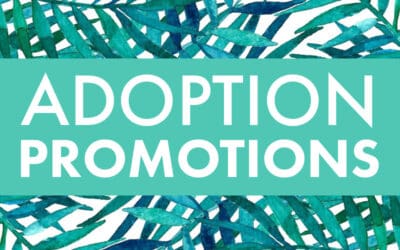 Check out this month’s Adoption Promotions!