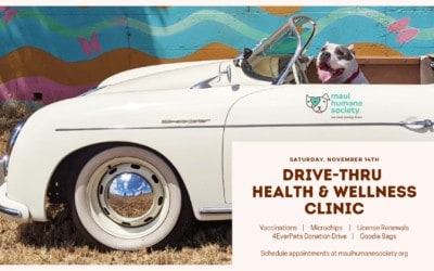 November 14: Drive-Thru Health & Wellness Clinic