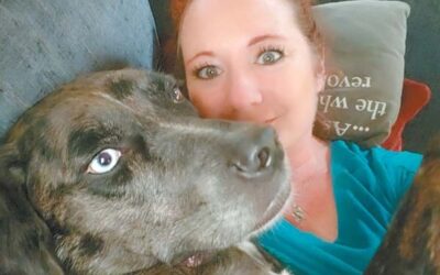 Maui News: Open Heart, Open Home