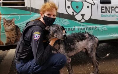 Greater Good: Riggs’s Road to Recovery