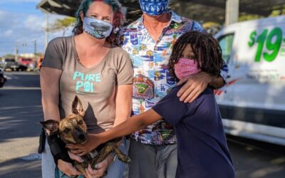 Foster Hero Says Goodbye to Girly Before Flight Across the Pacific