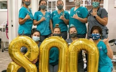 MHS Veterinary Team Celebrates Record-Breaking Comeback in Wake of Pandemic Disruption