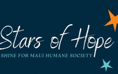 December 1 @7pm: Stars of Hope Lighting Ceremony