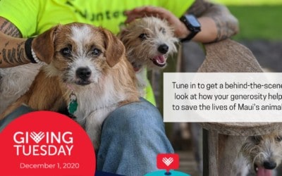 Giving Tuesday Video Series: Find out how your generosity saves lives.