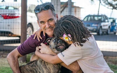 Maui Humane Society, Surprised with $50,000 from the Petco Foundation, Now Has the Chance to Earn $25K More with Public’s Help