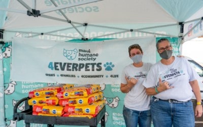 KITV – 4Ever Pets Distributes 30,000 lbs of Food!