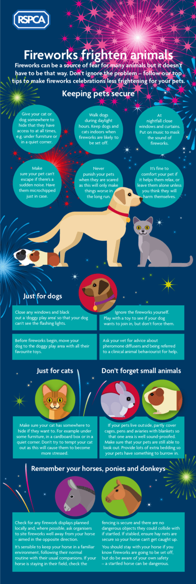FireworksInfographic2 Fireworks Infographic for Animals and Pets