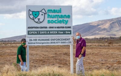 The Maui News: Mahi Pono leases land so Maui Humane Society can expand