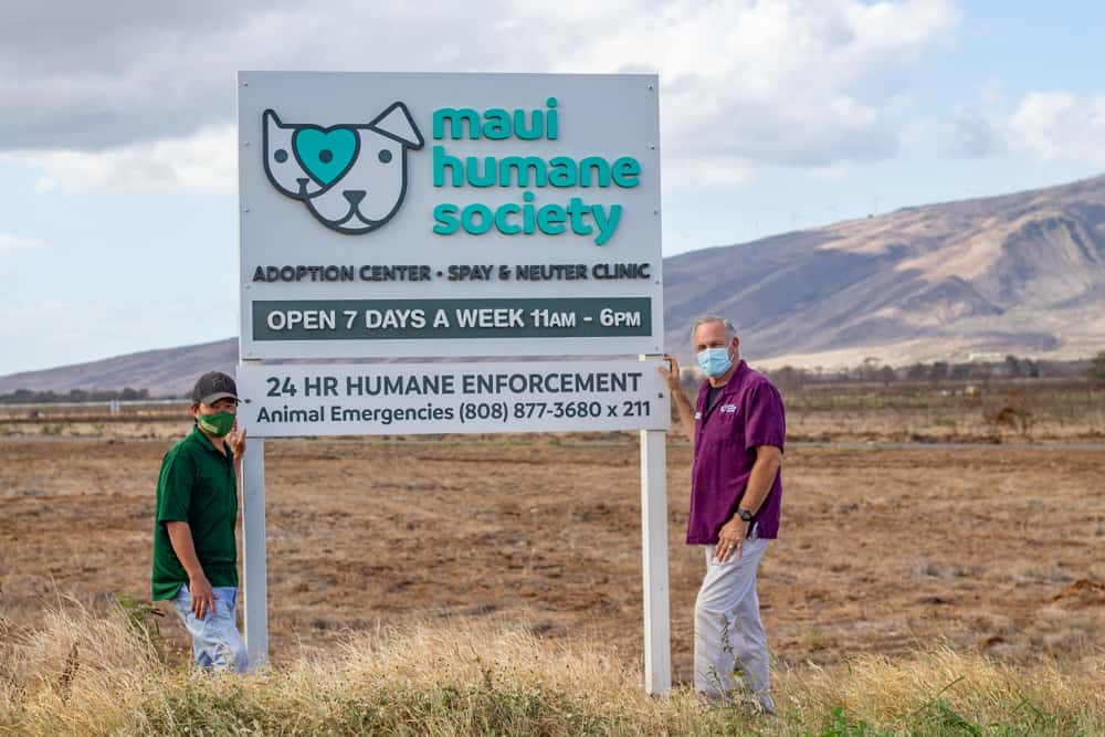 Mahi Pono and Maui Humane Society Partnership