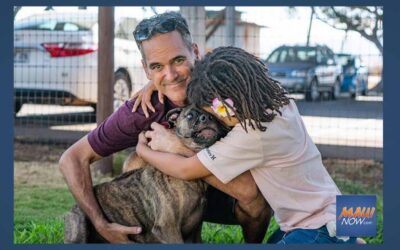 Maui Now: Pet Adoption Story Earns $50,000 Petco Foundation Grant for Maui Humane Society
