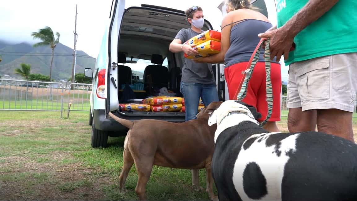 waile pallets distributing food for those in financial distress