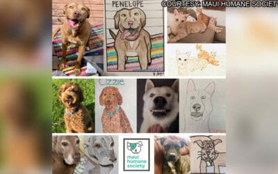 KHON2: Maui Humane Society to host ‘Bad Pet Art Fundraiser’